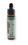 SYRIAN 10ML