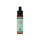 WOVEN SPINE PINEAPPLE 10ML