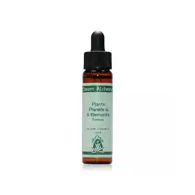 SUN FORMULA 10ML