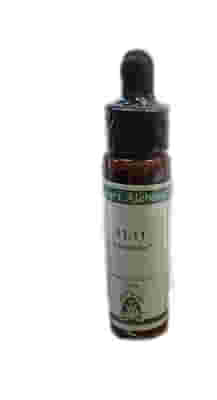 11:11 10 ML