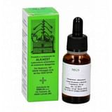 MGS24 QUERCIA MACERATO GLICERICO SPG 20 ML