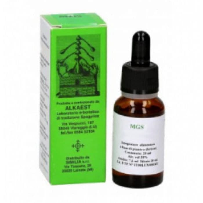 Mgs24 Quercia Macerato Glicerico Spg 20 Ml