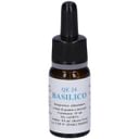 QUINTESSENZA QE24 BASILICO 10ML