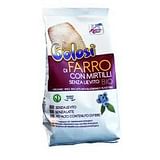 FSC I GOLOSI BISCOTTI DI FARRO E MIRTILLI BIO SENZA LIEVITO VEGAN SENZA LATTE 250 G