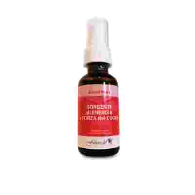 SACRED HEART ENERGIA E FORZA DEL CUORE SPRAY ORALE 30 ML