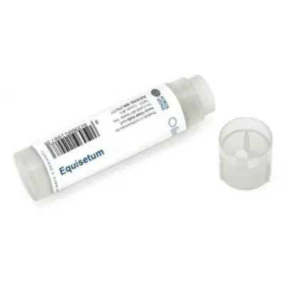 EQUISETUM ZN/NI/CO 100 GLOBULI EQUISETUM ZN/NI/CO 100 GLOBULI