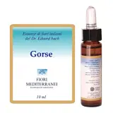 FIORI MEDITERRANEI GORSE 10 ML