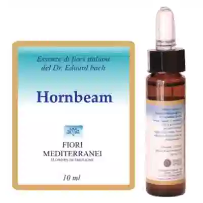 FIORI MEDITERRANEI HORNBEAM 10 ML
