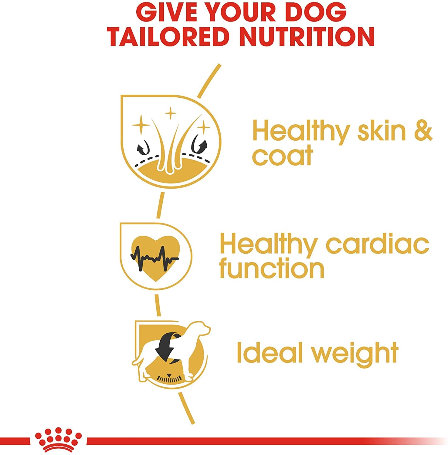 BREED HEALTH NUTRITION GOLDEN RETRIEVER ADULT 12 KG