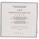 LIPO FOSFATIDILCOLINA 10 FIALE 10 ML