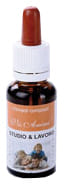RIMEDIO STUDIO&LAVORO 20 ML VISANIMI