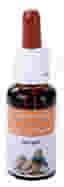 RIMEDIO SPORT 20 ML VIS ANIMI