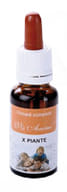 RIMEDIO PIANTE 20 ML VIS ANIMI