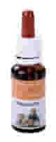RIMEDIO SESSUALITA 20 ML VIS ANIMI
