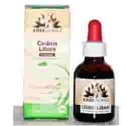 Macerato Glicerinato Fitoblasto Cedrus Libani 50ml
