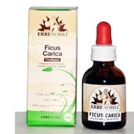 Gemmoderivato Ficus Carica per il benessere gastrico, 50ml