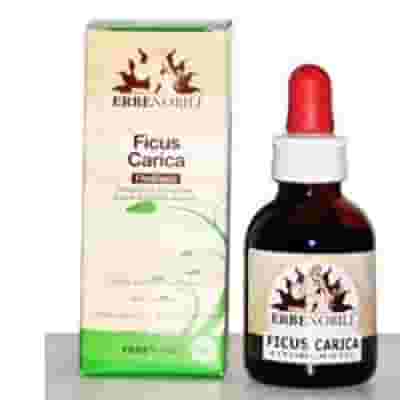 Gemmoderivato Ficus Carica per il benessere gastrico, 50ml