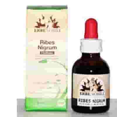 Fitoblasto Ribes Nigrum, soluzione drenante 50ml