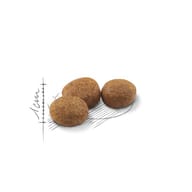 Alimento per gatti sterilizzati Feline Health Nutrition 400g