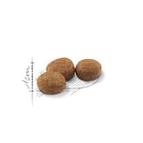 FELINE HEALTH NUTRITION REGULAR STERILISED 400 G