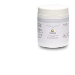 GRUHADUMADI CHOORNA POLVERE 500 G