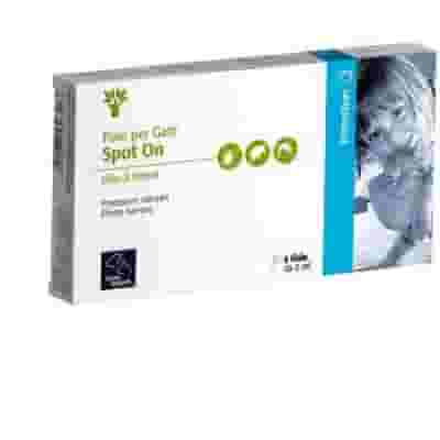 Spot-On antiparassitario per gatti Camon, olio di Neem 5x2ml