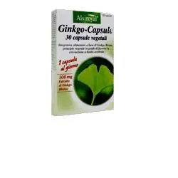 GINKGO CAPSULE 30 CAPSULE GINKGO CAPSULE 30 CAPSULE