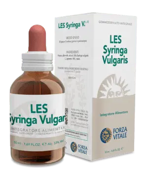 LES SYRINGA VULGARIS GOCCE 50 ML LES SYRINGA VULGARIS GOCCE 50 ML