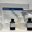 TRONCHESINO SOFT MANICURE