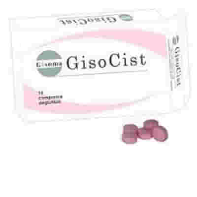 GISOCIST 15 COMPRESSE DEGLUTIBILI