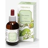 ERISIMO SOMMITA' FIORITE ESTRATTO IDROALCOLICO 50 ML