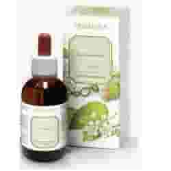 Estratto di Erisimo per gola e vie respiratorie, 50ml