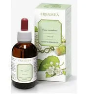 GINKGO BILOBA FOGLIE ESTRATTO IDROALCOLICO 50 ML