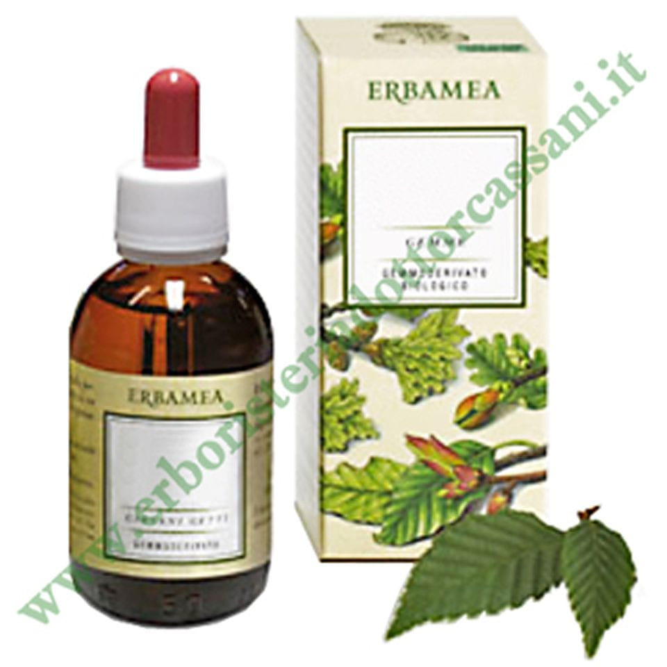 CASTANEA VESCA GEMME GEMMODERIVATO BIO 50 ML