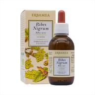 RIBES NIGRUM GEMME GEMMODERIVATO BIO 50 ML