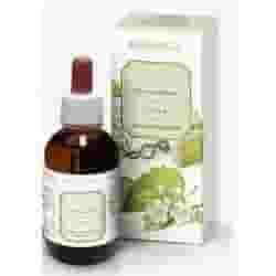 Estratto Artiglio del Diavolo Erbamea, integratore 50ml