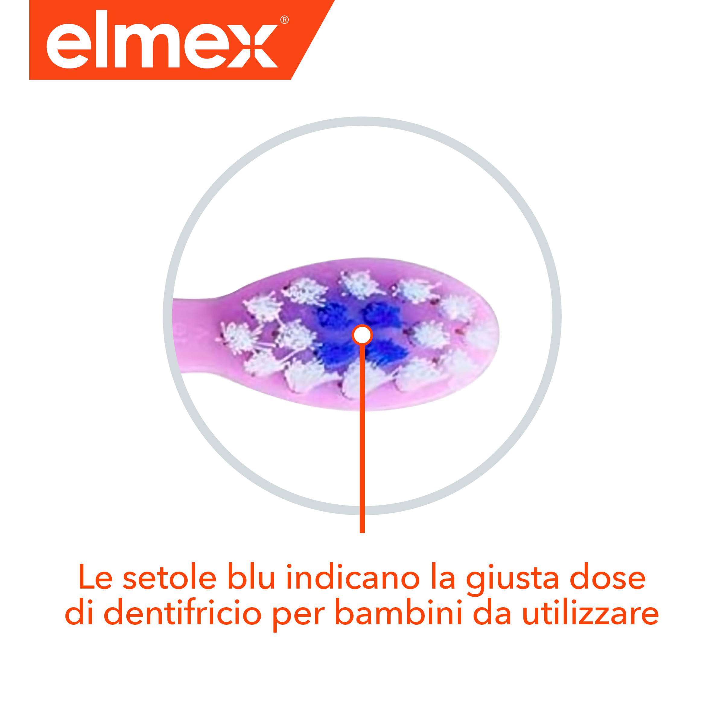 ELMEX SPAZZOLINO BIMBI EDUCATIVO NEW 0-3 ANNI