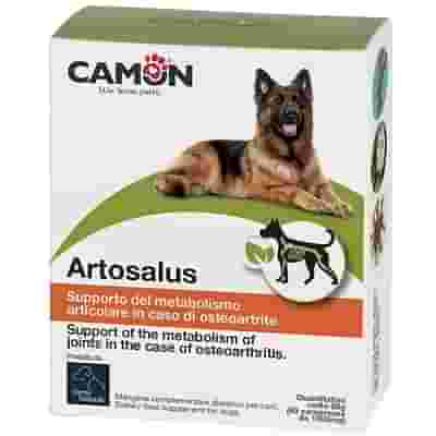 ORME NAT ARTOSALUS 60 COMPRESSE