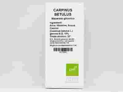 CARPINUS BETULUS MACERATO GLICERICO 10% GOCCE 100ML