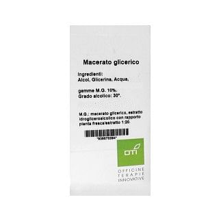 Ulmus Campestri Macerato Glicerico 10% Gocce 100 Ml