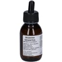 SEQUOIA GIGANTE MACERATO GLICERICO 10% GOCCE 100ML