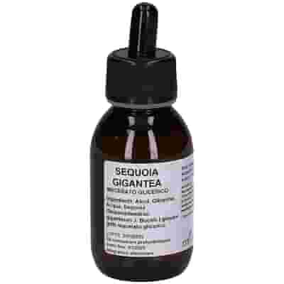 SEQUOIA GIGANTE MACERATO GLICERICO 10% GOCCE 100ML