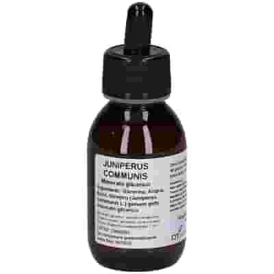 JUNIPERUS COMMUNIS MACERATO GLICERICO 10% GOCCE 100ML