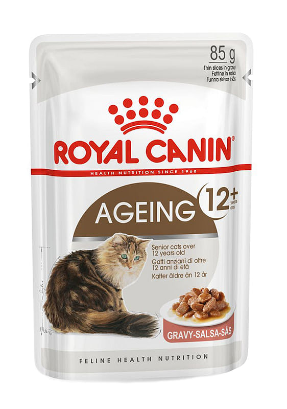 Feline Health Nutrition Wet Ageing 12+ 12 X85 G