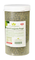 GRANI LUNGAVITA FIUGGI 1 KG