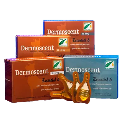 ESSENTIAL 6 SPOT ON CANE 0/10 KG 4 PIPETTE 0,6 ML ESSENTIAL 6 SPOT ON CANE 0/10 KG 4 PIPETTE 0,6 ML