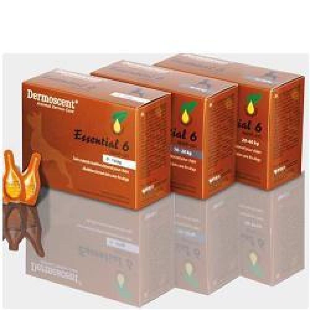 Spot On Dermoscent Essential 6 per Cane 10-20kg, 4 Pipette