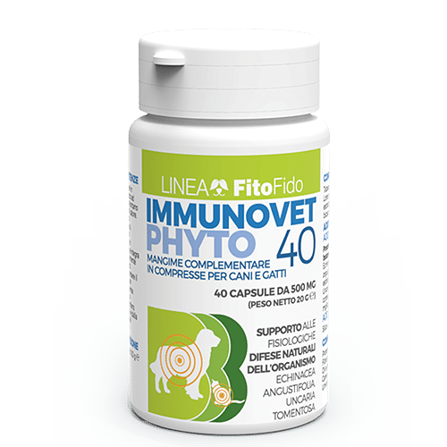 IMMUNOV PHYTO 40 40 CAPSULE