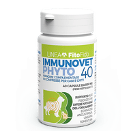 IMMUNOV PHYTO 40 40 CAPSULE