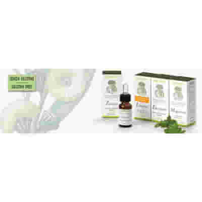 ZENZERO 10 ML